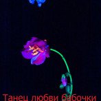 «Черный кабинет» — романтическое шоу
